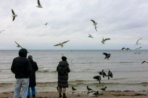 IMG_1765.jpg