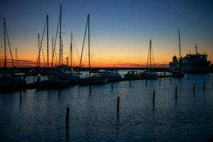 IMG_7516.jpg