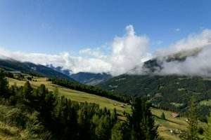 IMG_1209.jpg