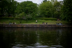IMG_0769.jpg