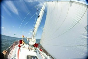 IMG_9981.jpg