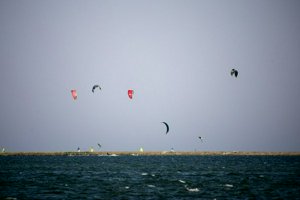 IMG_8856.jpg