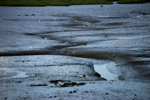 IMG_6822.jpg