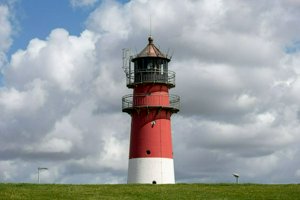 IMG_6779.jpg