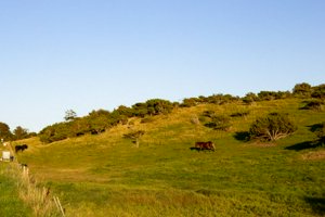 IMG_7411.jpg