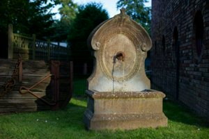 IMG_6927.jpg