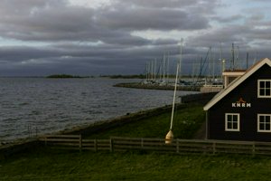 IMG_2321.jpg