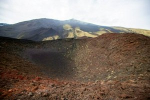 IMG_9545.jpg