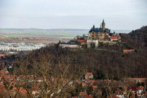 IMG_1043.jpg