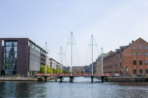 IMG_8529.jpg