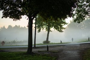 IMG_2058.jpg