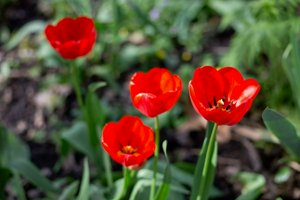 IMG_8205.jpg