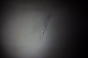 IMG_3239.jpg