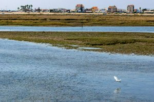 IMG_5973.jpg