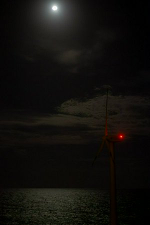 IMG_3750-Улучшено-NR.jpg