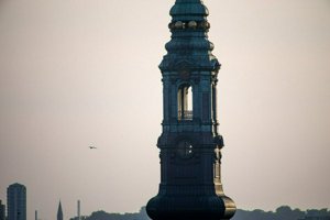 IMG_8134.jpg