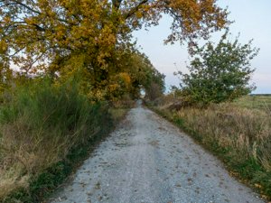 DJI_0264.jpg