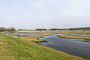 IMG_8846.jpg
