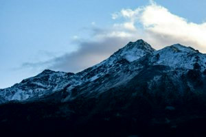 IMG_1278.jpg