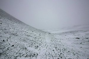 IMG_0139.jpg