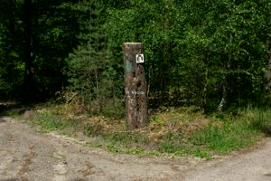 IMG_9781.jpg
