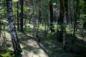 IMG_5452.jpg