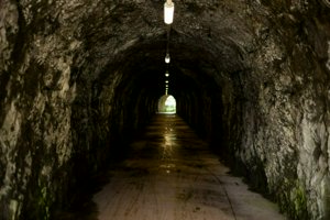 IMG_5173.jpg
