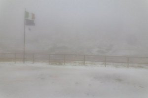 IMG_1104.jpg