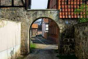IMG_7768.jpg