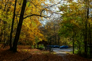 IMG_0266.jpg
