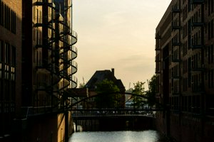 IMG_0110.jpg
