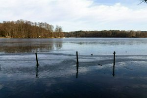 IMG_4052.jpg