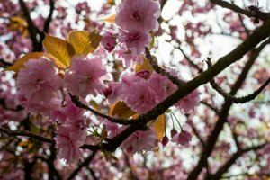IMG_8236.jpg