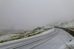 IMG_1133.jpg
