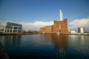IMG_8298.jpg