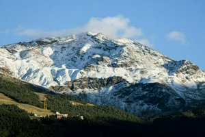 IMG_1275.jpg