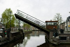 IMG_0499.jpg