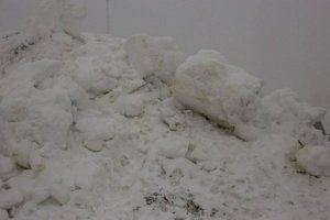 IMG_1336.jpg