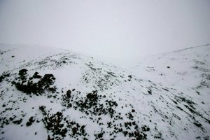 IMG_0146.jpg
