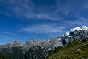 IMG_1788.jpg