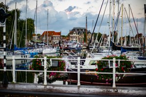 IMG_3227.jpg