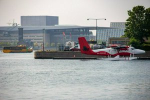 IMG_8339.jpg