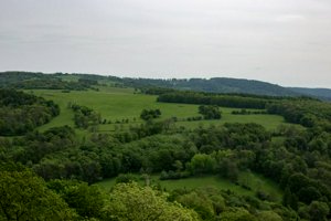 IMG_0839.jpg