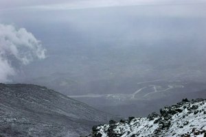 IMG_0100.jpg