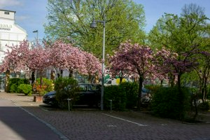 IMG_8296.jpg