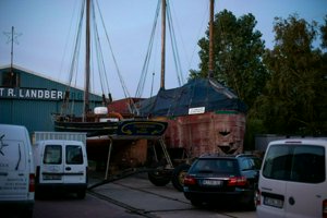 IMG_7027.jpg