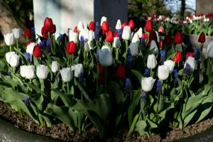 IMG_1024.jpg