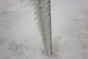 IMG_1387.jpg