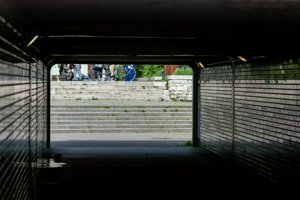 IMG_4473.jpg