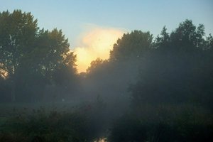IMG_2065.jpg